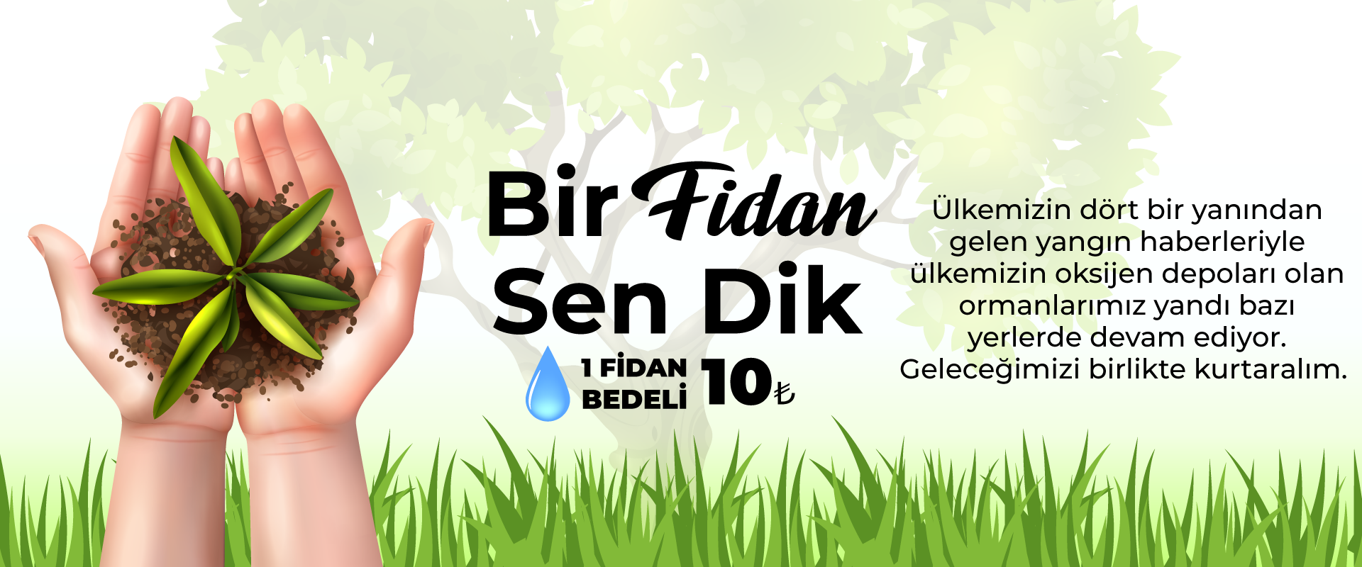 Fidan Bağışı