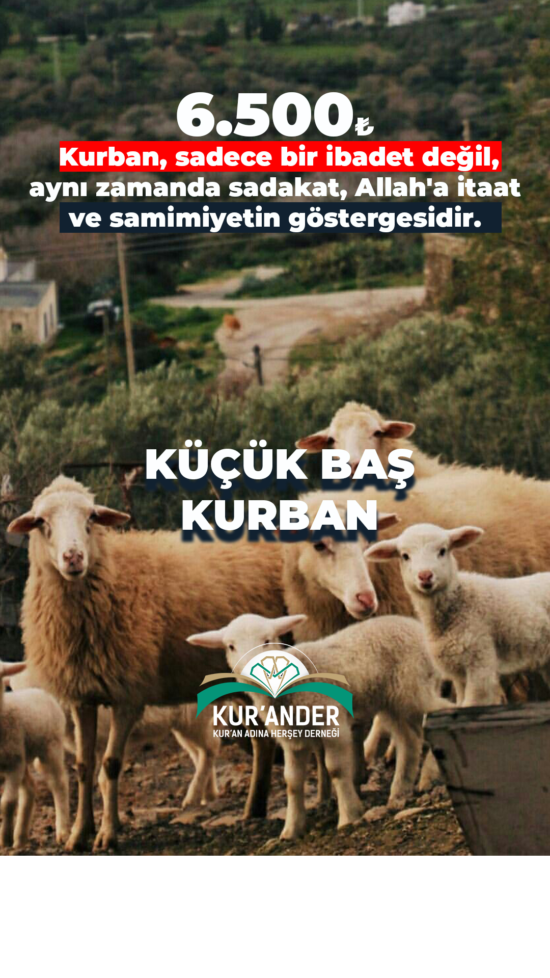 KÜÇÜK BAŞ VACİP